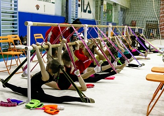 В Новогодние каникулы в СК "Луч" состоится учебно-тренировочный сбор по художественной гимнастике «ЕКАТЕРИНБУРГ – ЯНВАРЬ – 2021»
